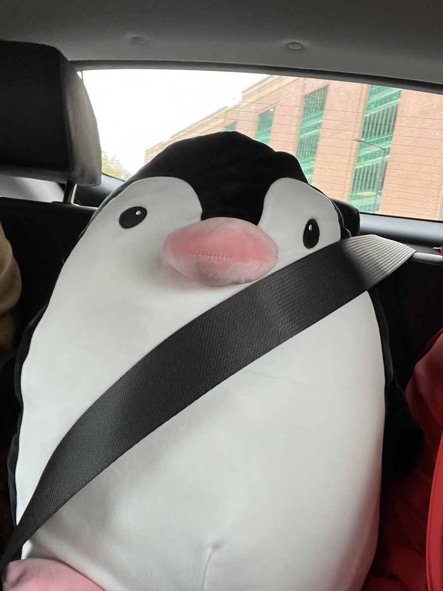 My husband brought me a penguin last night and we’ve called him Harold. Today Harold is joining us so we can take pictures of him doing things to make an album for the kids at school. So far he’s been on the train, car, worked a shift at M&amp;S and been to the cinema