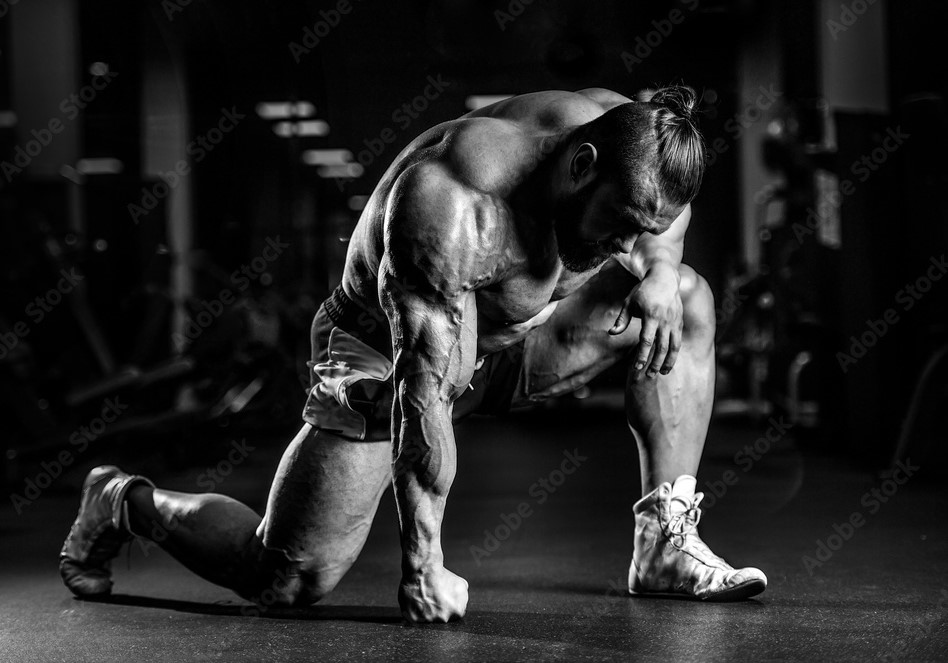 Autobuilder's tweet image. HOW TO BECOME A BEAST IN 6 MONTHS