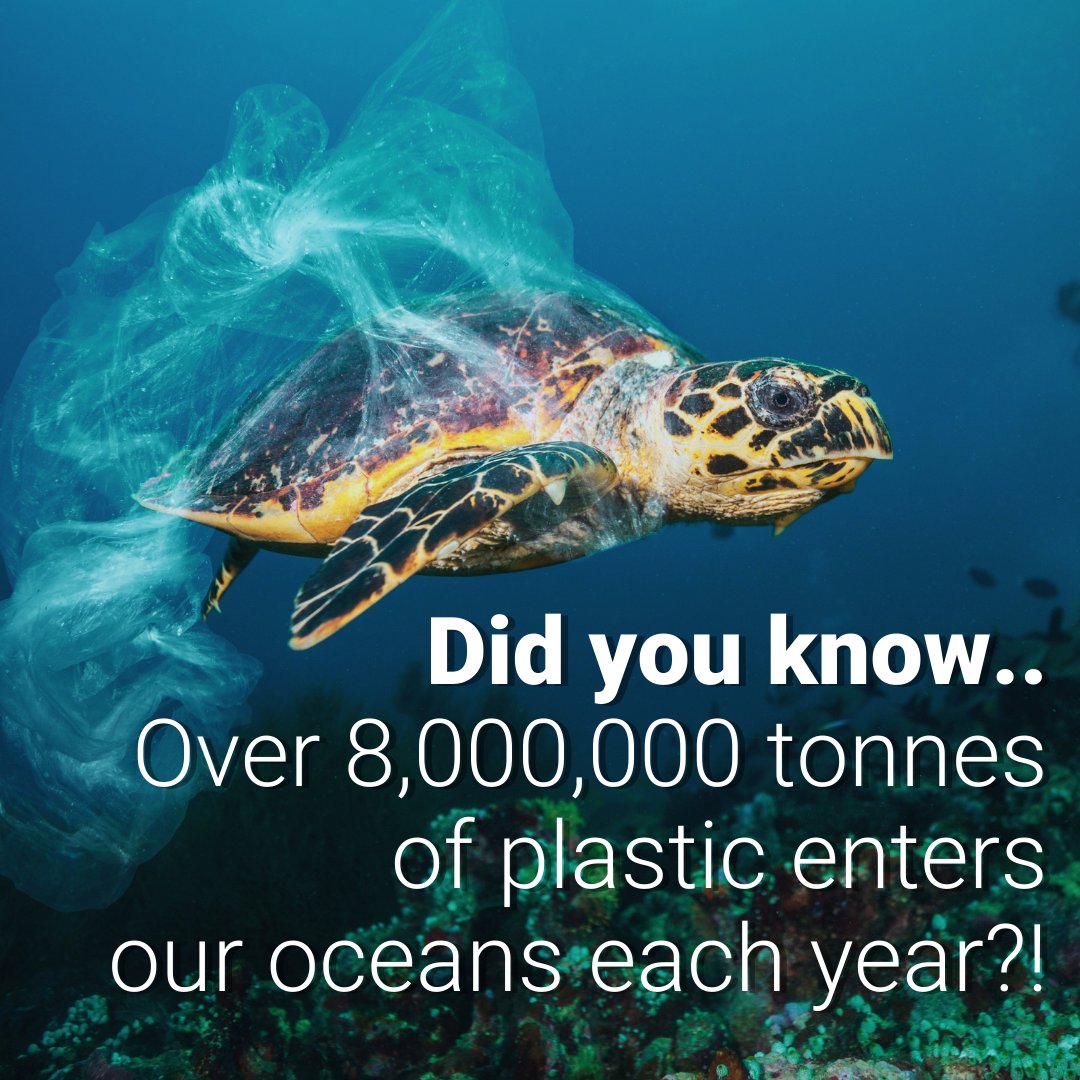 petitmiracles's tweet photo. Could you be doing more to help to prevent plastic pollution?
Why not join @thames21 to help clean London's most famous river?
#plasticpollution #saveourocean #recycle #volunteer #nonprofit #reducesingleuseplastics #Sustainability
https://t.co/2lB1VvdTVS https://t.co/TfkB29z3wu