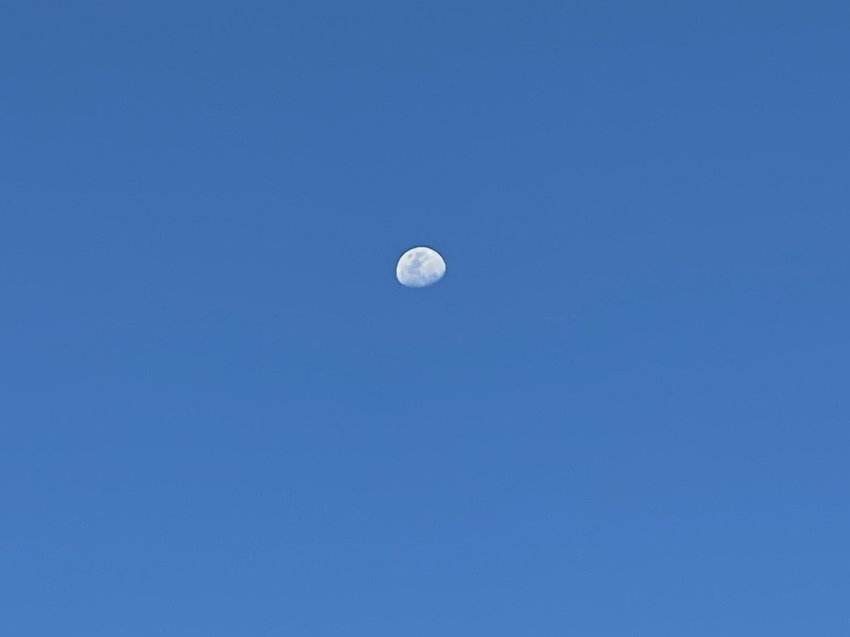 rach_naaaa's tweet photo. Talking to the moon🌙✨ https://t.co/ORhlHpmwLi