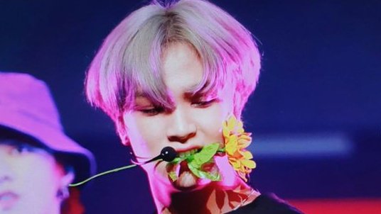 haechanprints's tweet photo. haechan getting sunflower stuff at every concert 🥹 https://t.co/mCkGRVKuG2