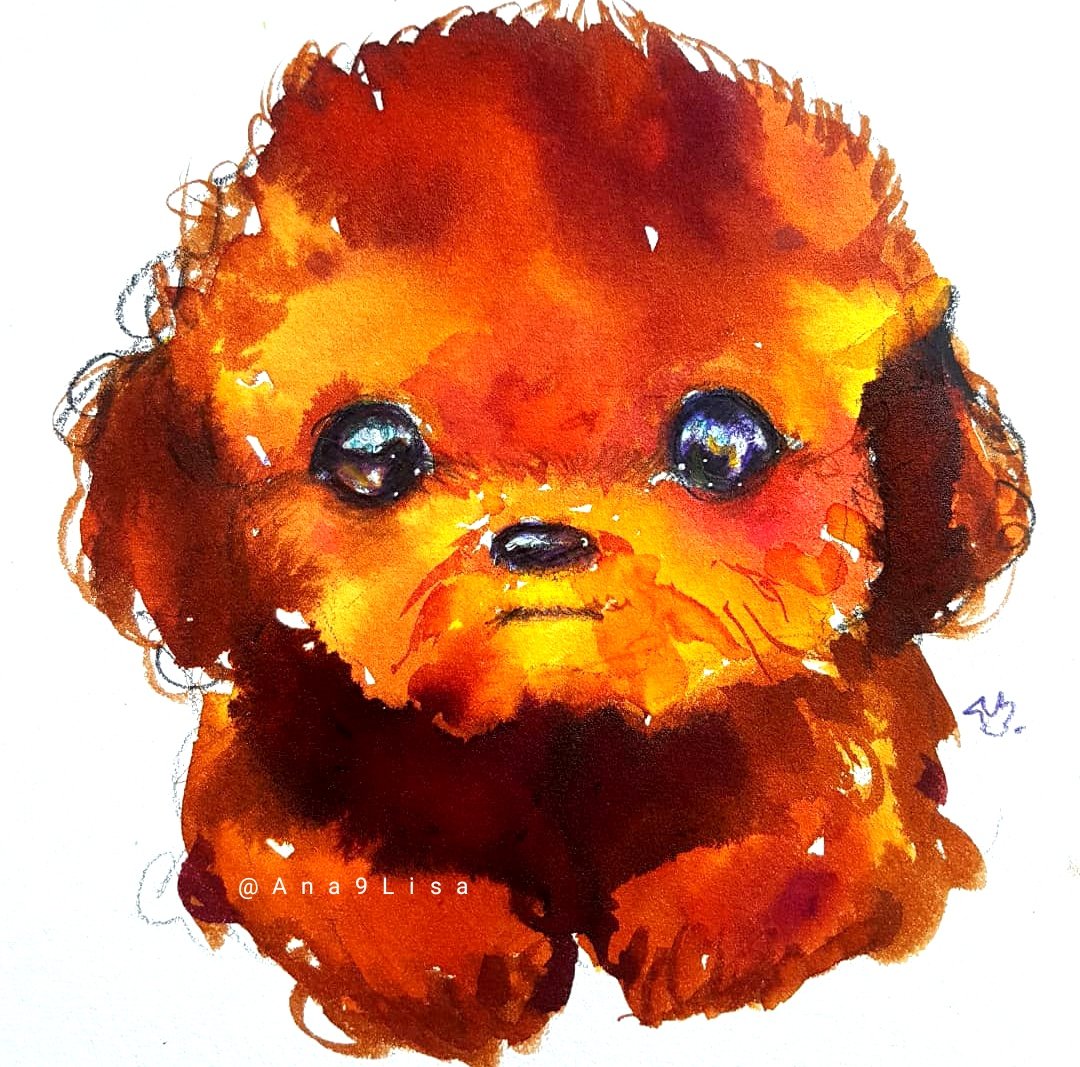 Ana9Lisa's tweet image. 