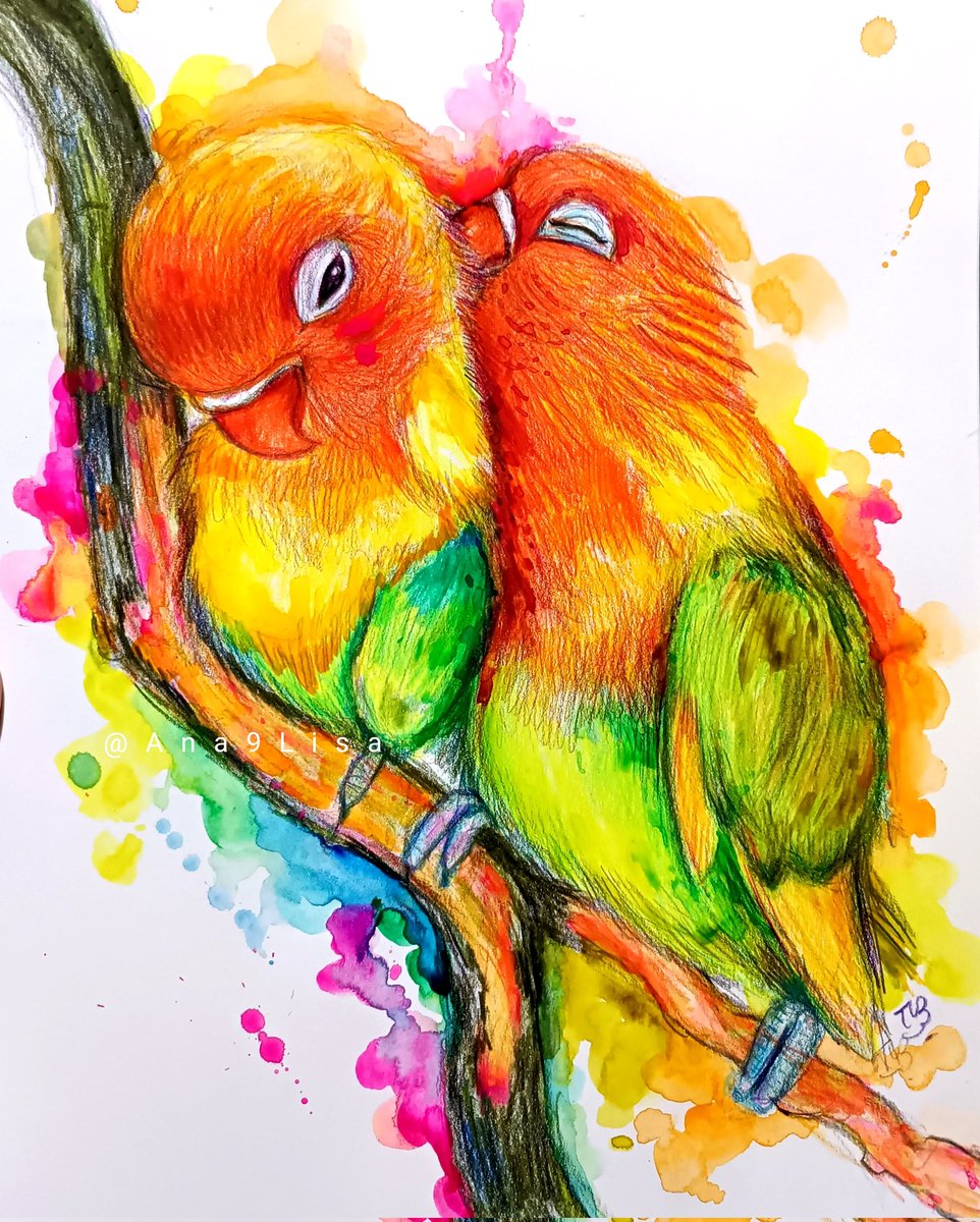 Ana9Lisa's tweet image. 