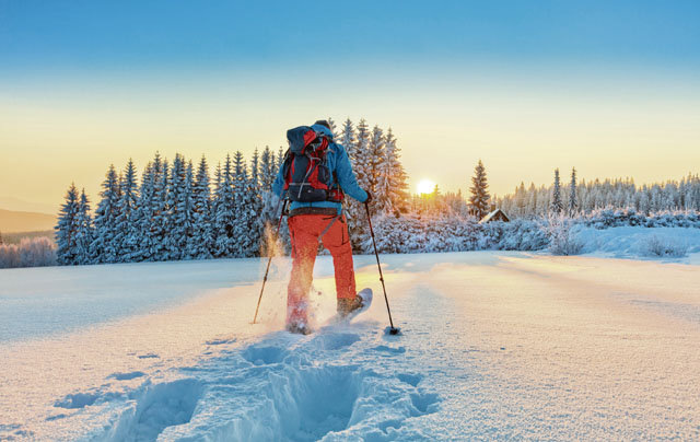 MILinGermany's tweet photo. Looking for wintry adventure routes? We've got you covered!

https://t.co/zxkknW76jv https://t.co/bpborAFk8T
