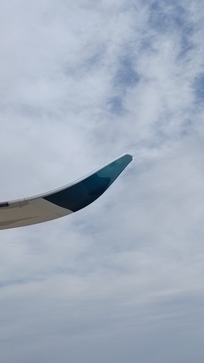 LM__'s tweet image. #Winglets