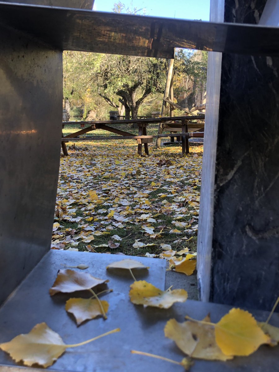 atalantando's tweet photo. #44de52 @mongeleon #otoño https://t.co/PPACd8VrcZ