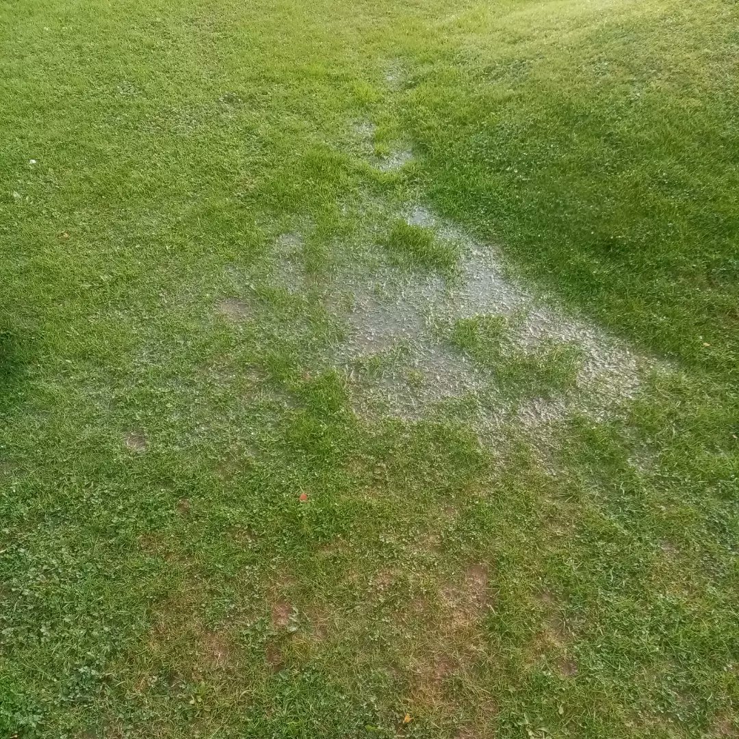 ashgrove_p's tweet photo. Please avoid holes 7 through 10 if your over playing the course as it is very wet #pitchandputt #wetcourse #waterlogged https://t.co/hi5YokV6dq