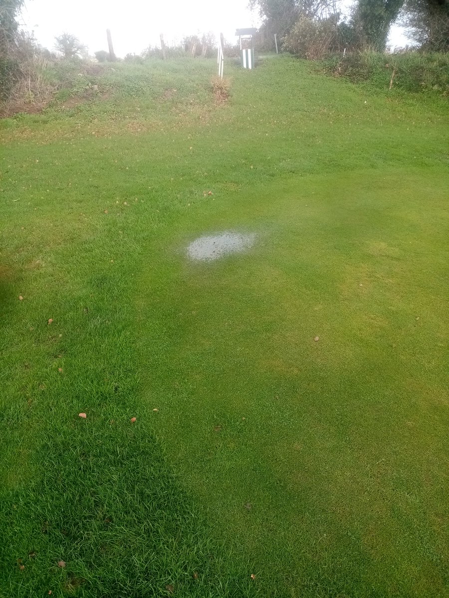 ashgrove_p's tweet photo. Please avoid holes 7 through 10 if your over playing the course as it is very wet #pitchandputt #wetcourse #waterlogged https://t.co/hi5YokV6dq