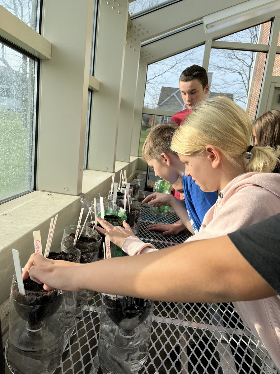 MrsSLeonard's tweet photo. OVMS greenhouse club assembled and planted TerrAqua columns yesterday! Hoping seeds germinate by next club meeting 🌱 https://t.co/NUd8iukYYT