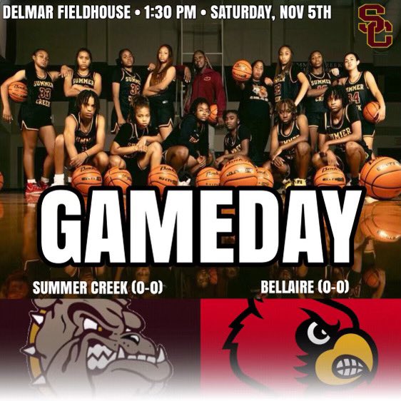 Summer Creek Lady Bulldogs tweet media