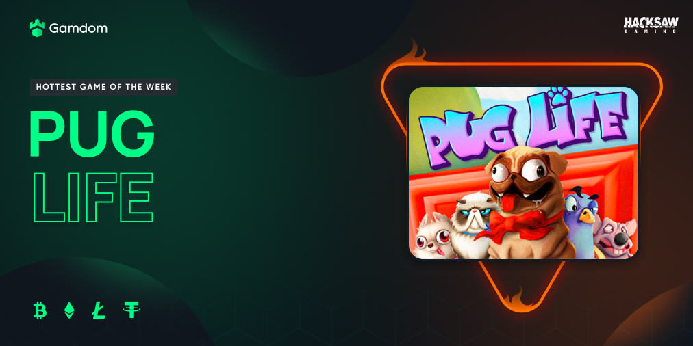 🔥 Hottest game of the week 🔥

Pug Life by Hacksaw! 🤩

FreeSpins #Giveaway to 100 lucky users!

Drop your userID in the comment, tag a friend and Retweet! 👈 

If you receive a 💚 from us, you'll get Free spins at 18:00 CET! 🤑💸

🔗 Gamdom.com