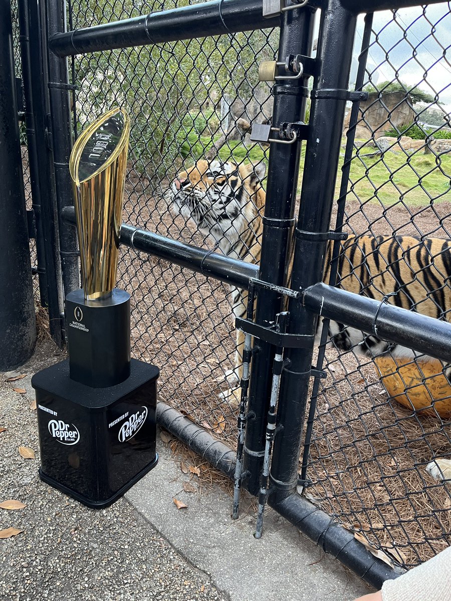 MikeTheTiger's tweet photo. So this happened yesterday. Thanks @espn for bringing it by. Geaux Tigers! https://t.co/Zh3O9mDLoJ