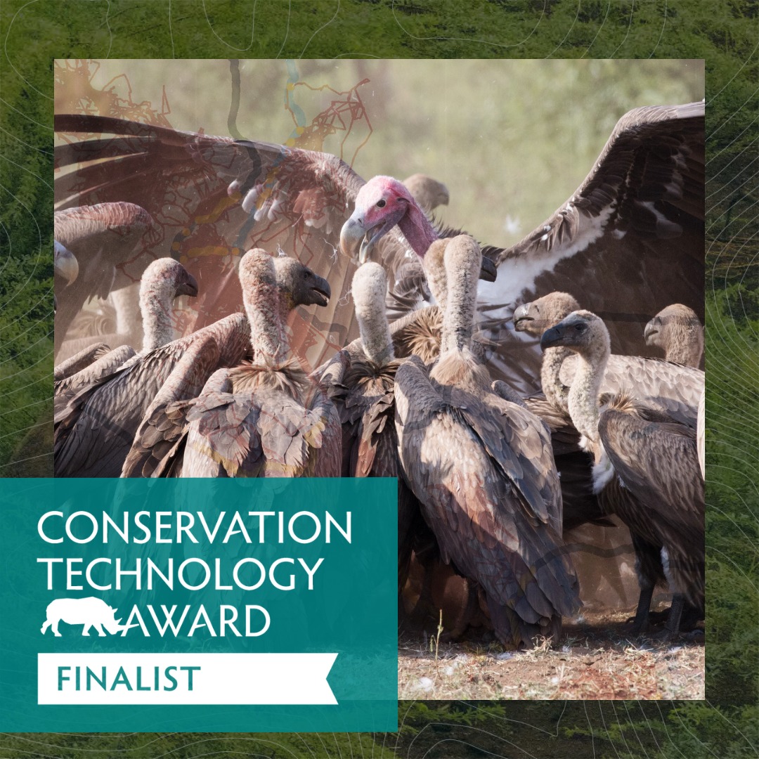 Great news! Our analysis platform #moveapps has won the Conservation Tech Award 😀🥳
We thank <a href="/EarthRangerTech/">EarthRanger</a> <a href="/allen_ai/">Ai2</a> and judges for recognizing our impact! 
Together, we can bring bio-loggers and programmers together to safeguard wildlife 🛰️⌨️🐾💪🧵1/4
ab.mpg.de/506555/moveapp…