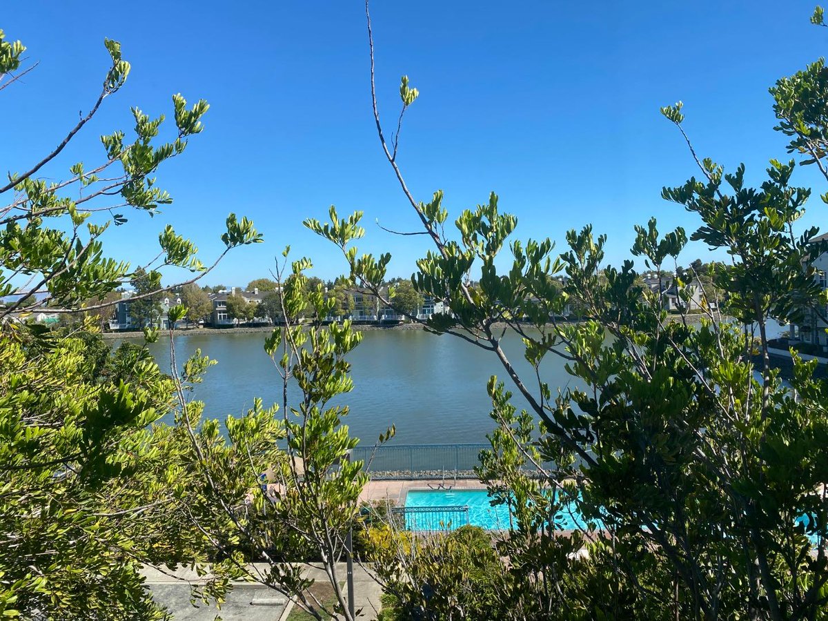 Fay4homes's tweet photo. Open House! ,  11/6/2022 2:00:00 PM, Full Details https://t.co/raOcyrLOpQ https://t.co/UyYeCtfhrO