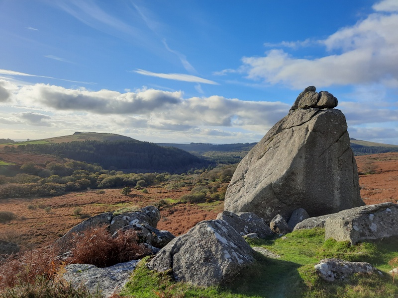 Dartmoorwalking's tweet photo. Legs hurt now 🤣 Planned 8 miler Tor Royal car park, Burrator, Sheepstor, Nun's cross, haven't been for 9 weeks for various reasons.  Turned out 9.5miles but gosh I feel better. 😍 #dartmoor #sheepstor #burrator #hiking #devon https://t.co/Dk4sQWqR02