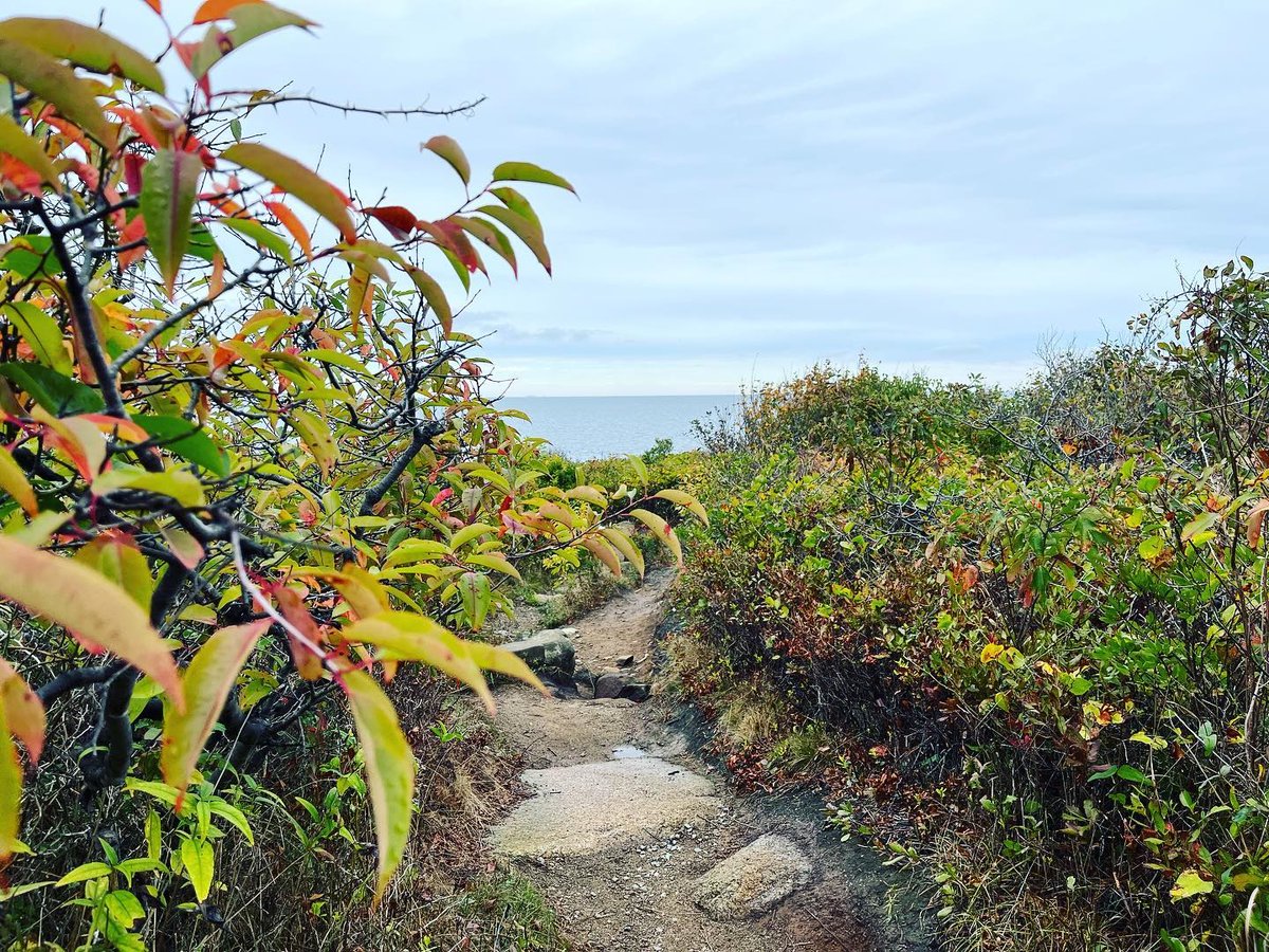 thetrustees's tweet photo. 📷 by @discovergloucester: We love Halibut Point in the fall!
Hiking, scenic vistas, bird watching, picnicking and more - Halibut Point is a Cape Ann must-see, especially when it’s donning autumn hues 💚🧡🤎♥️💛
#thetrustees #halibutpoint #hiketrustees #hikema #northshore https://t.co/4njXiQPdiZ