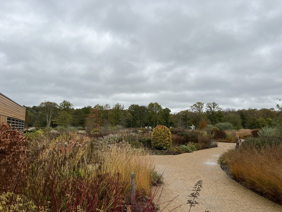 ALK 🇫🇷 tweet media