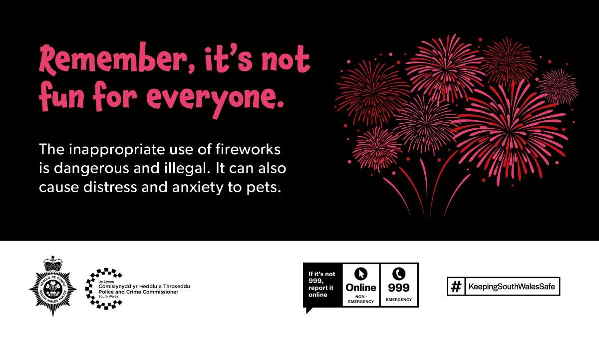 swpolice's tweet image. Remember, remember the 5th of November is not an excuse for #ASB and crime. 🎇

It is also #NotFunForEveryone. Please be considerate of those who are vulnerable and may not enjoy #BonfireNight. 

For those celebrating, please do so safely by attending an organised display.
