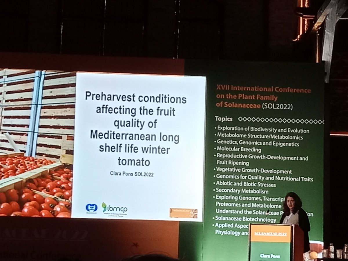 geno_breed's tweet photo. #SOL2022 Turn for our lab, #CPons talks about the conditions affecting fruit quality of long shelf-live tomatoes @IBMCP @HARNESSTOM_EU @CSIC https://t.co/vfWSQLamVD
