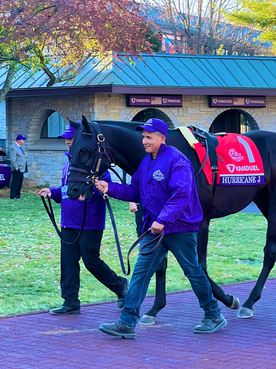 Incredible to be part of day 1 at the Breeders’ Cup @keeneland. Let’s hope Go Bears Go 🐻 does us proud today for @amoracingltd @omnihorse_NFT @DaveLoughnane_ 💪 🙌 🟣⚪️ #BC22