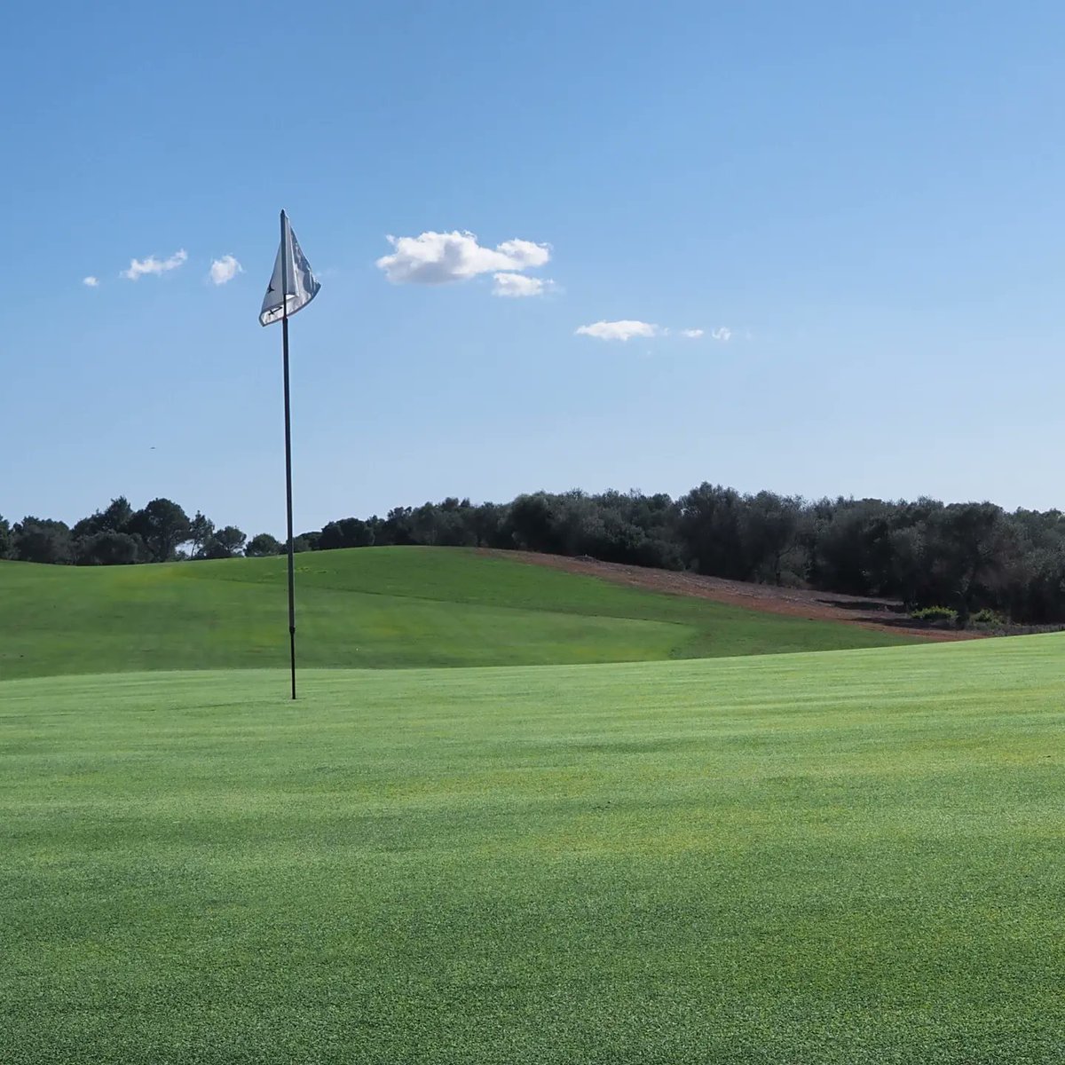 Francisca Tugores tweet media