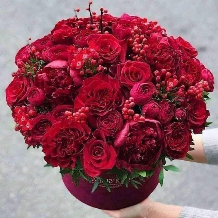 🍁🍃🌴🌼 भूपेन्द्र ️🏝️🌈🌷🍀 tweet media