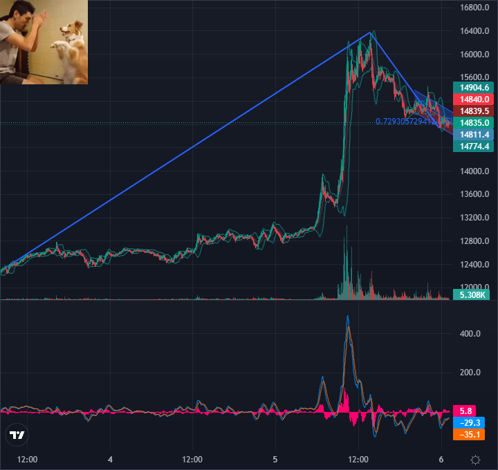 coinrbicom tweet picture