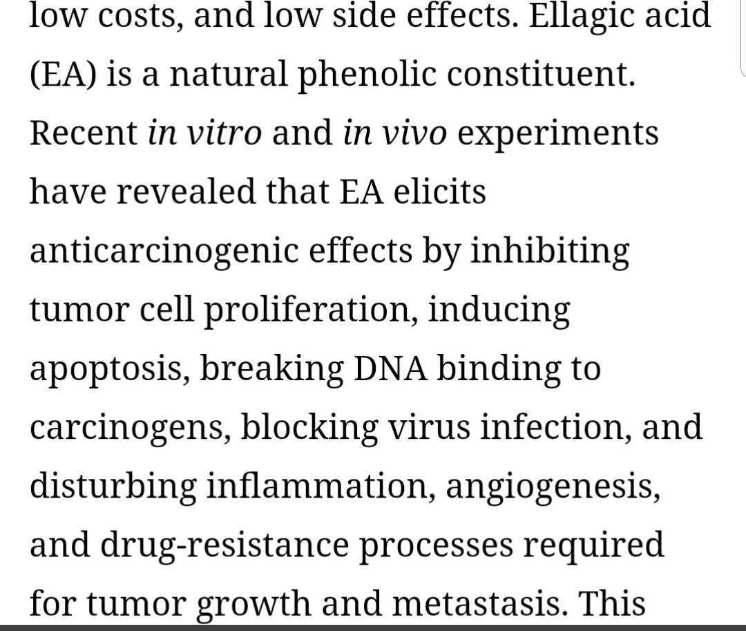 NAR!
İçerdiği fitokimyasallardan
"Ellagik asit"
1.Vücuttaki toksinleri temizleyen antioksidan!
2. Tümör hücrelerini engelleyen/öldüren antitümör etki!
Tanesiyle,çekirdeğiyle,aradaki beyaz kabuklarıyla tüketirseniz bolca bu maddeyi alırsınız
İlaç etkili meyvedir NAR
#adımadımiyiye