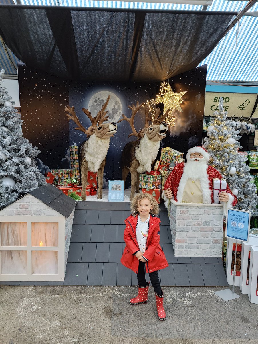 MsHarris79's tweet image. It's beginning to look a lot like #Christmas @pughsgarden 
#PughsGardenVillage