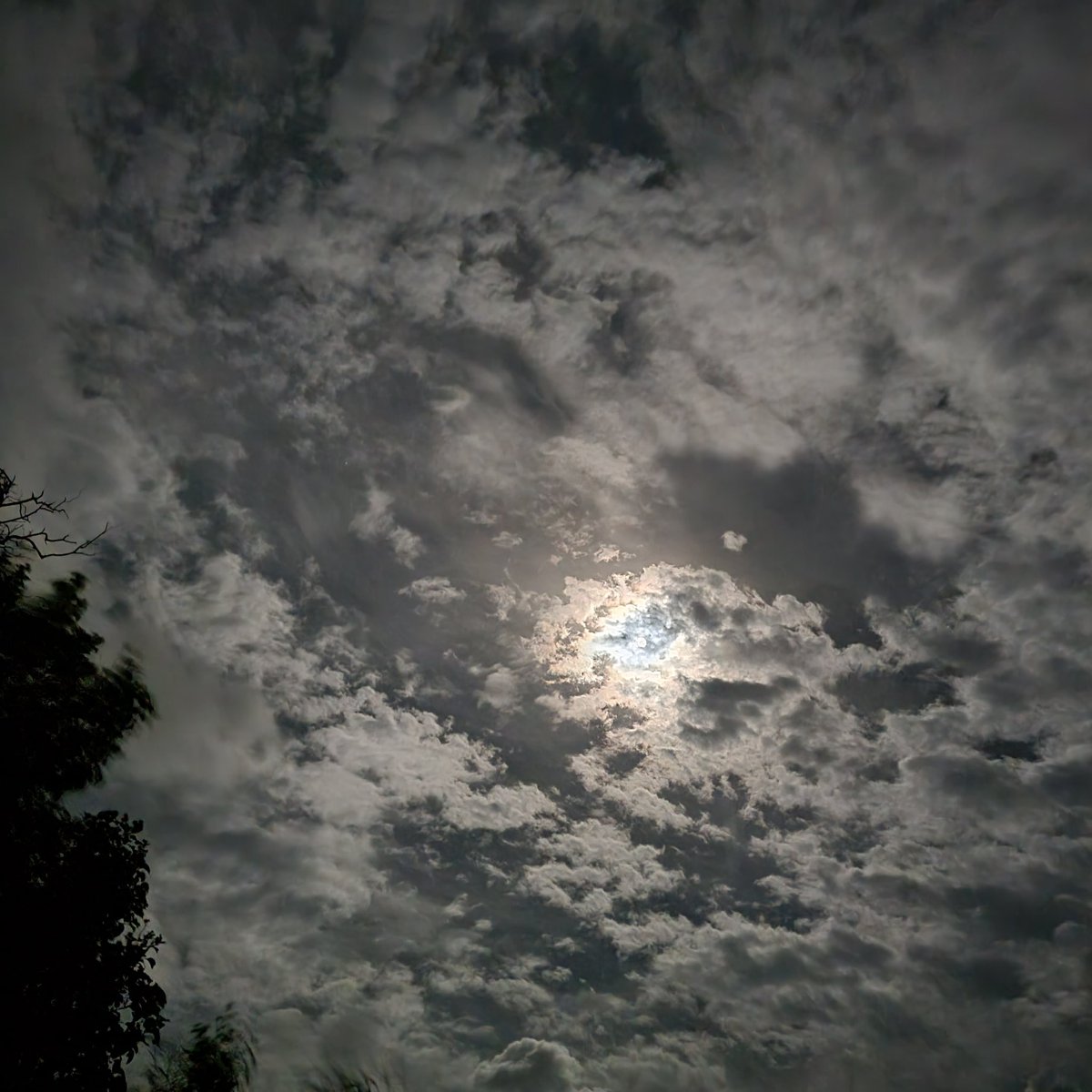 graysonwolfe's tweet image. Moonlight overnight. #USVI