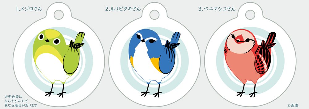 「デザフェス56()に～!飛び込み前転!今回は壁に絵を描くのを目的に遊びにいきます」|蒼鷹のイラスト
