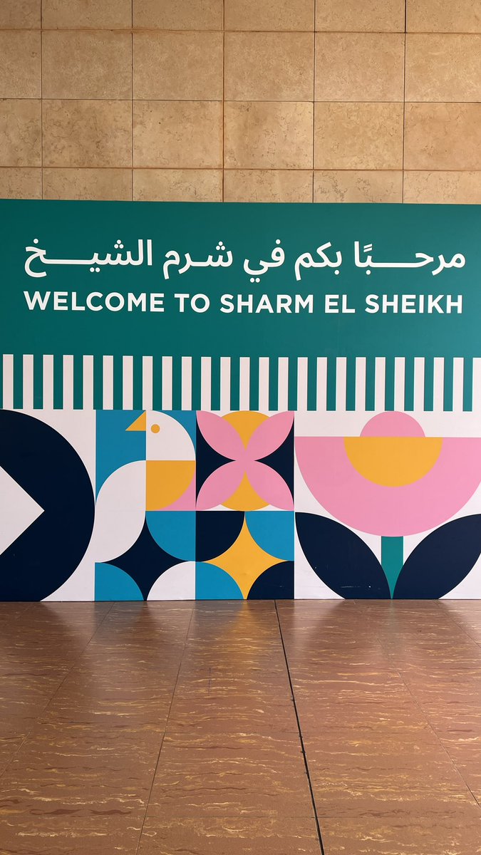 Frankie The Dino tweet media