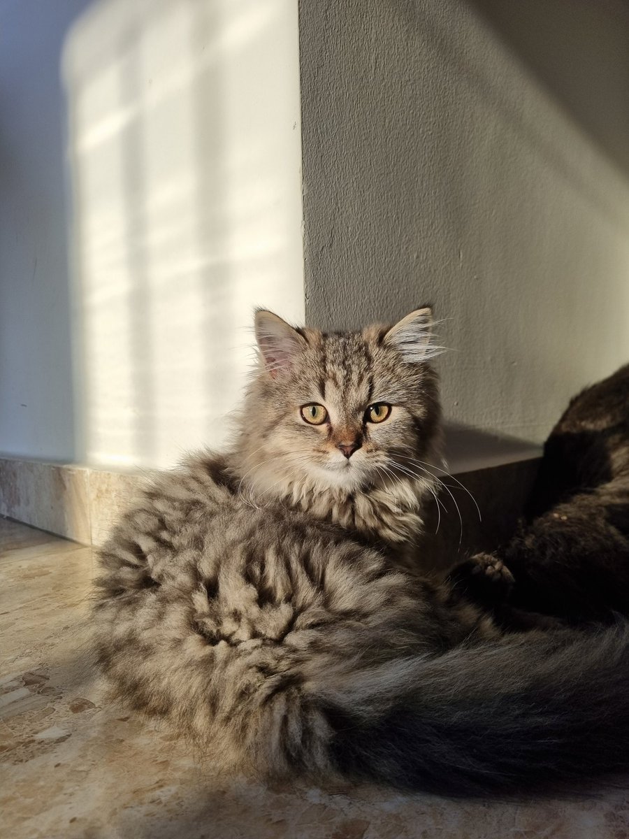 _ritaxo's tweet photo. Blessing you with my pretty kids. https://t.co/IrWJ3gOaJL