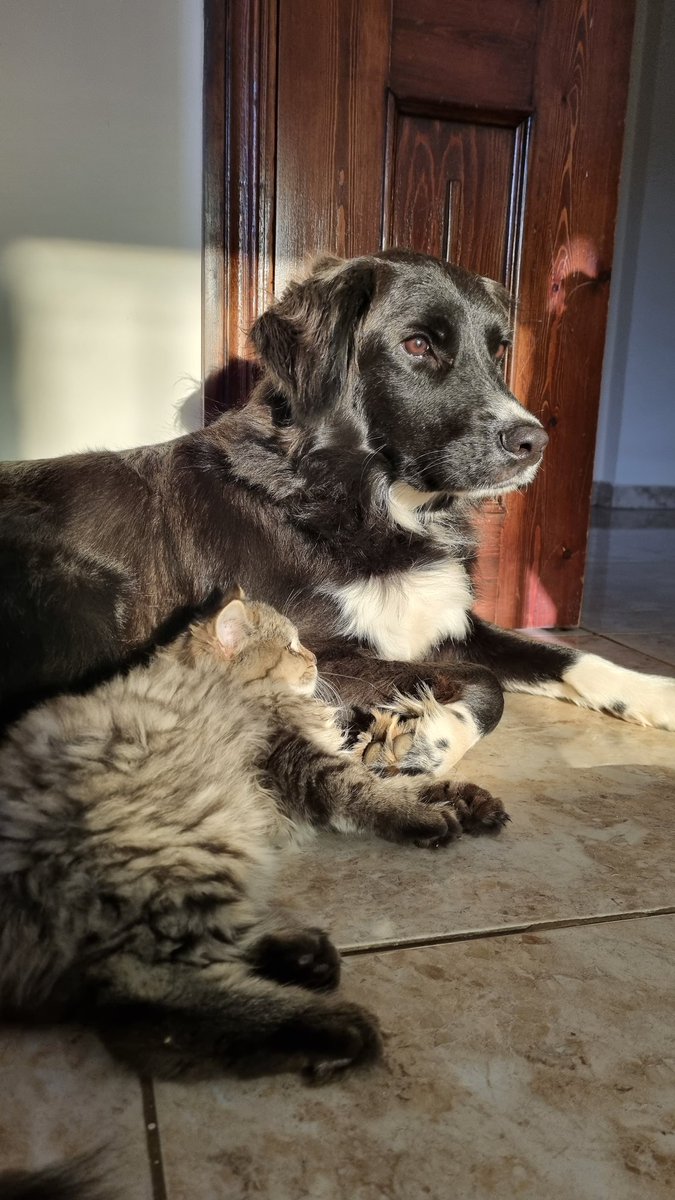 _ritaxo's tweet photo. Blessing you with my pretty kids. https://t.co/IrWJ3gOaJL
