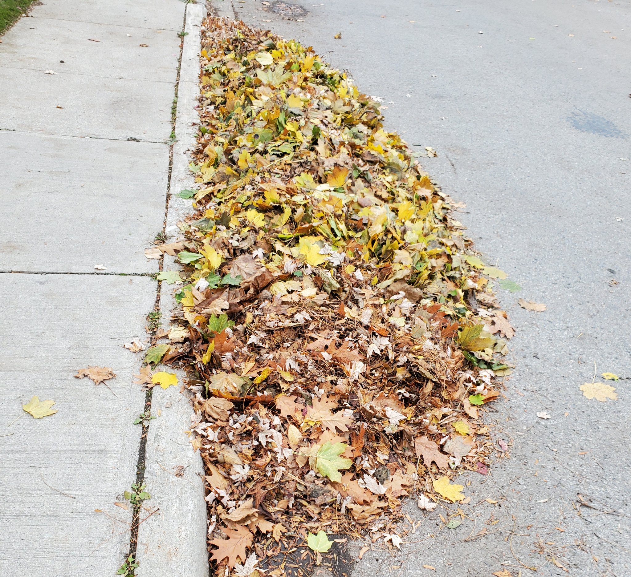 Mississauga Calendar on Twitter "FALL VACUUM LEAF PICKUP Route maps 🗺