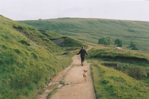 “Çok zaman kaybettim. Çok zaman ve biraz da ümit. Yaşamak bu galiba.”

Cemil Meriç