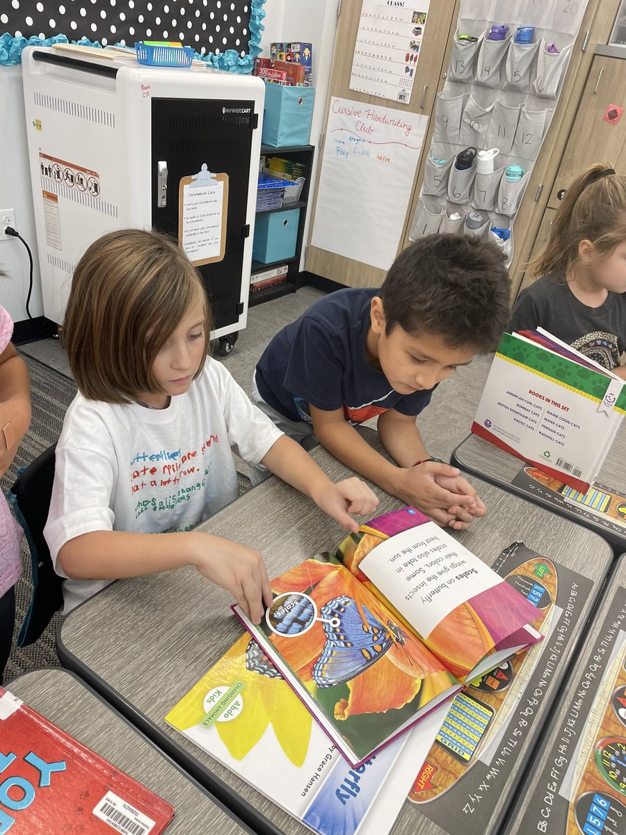 Our 2nd graders loved teaching the 1st graders non fiction information and facts by using several books on the same topic. They made t-shirts to share their knowledge! #hammfam