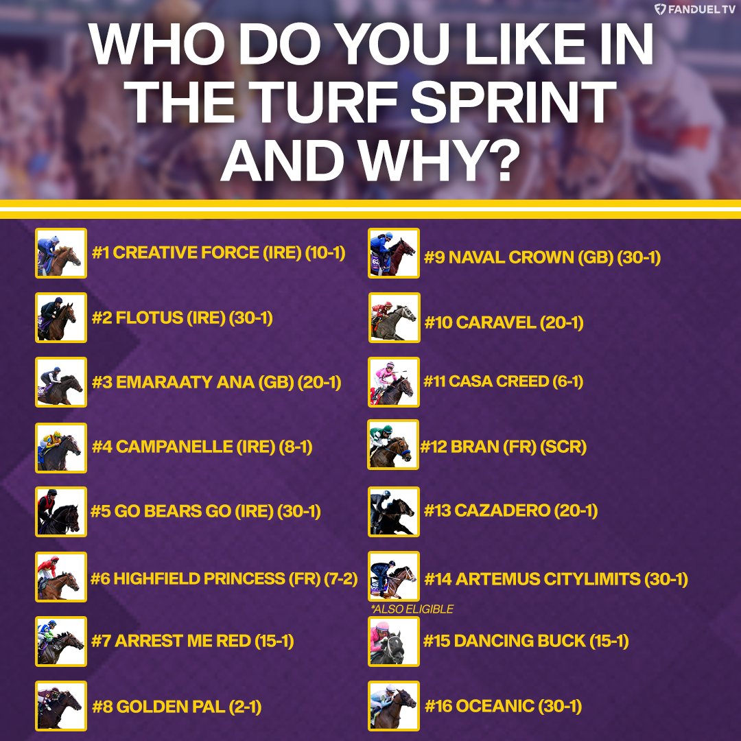 TVG on Twitter "The 2022 Breeders' Cup Saturday card is coming up