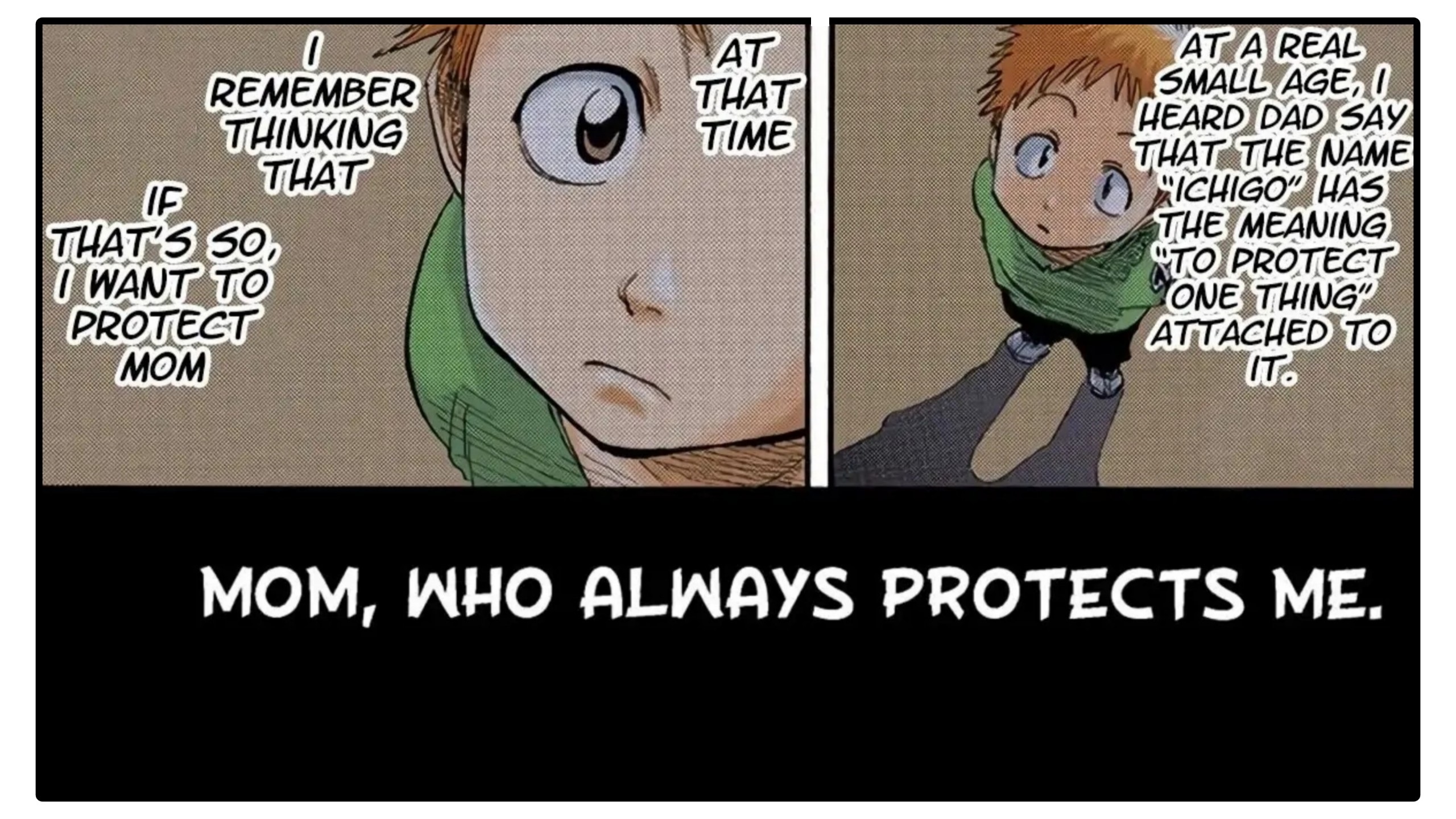 It can also mean as Ichigo always says One who protects