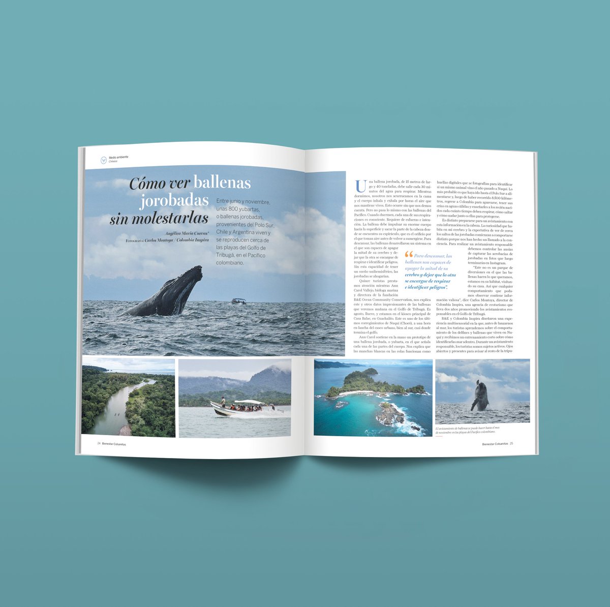 Esta es nuestra edición 184😍✨ En portada <a href="/julianar/">Juliana Restrepo T.</a>, quien estuvo al frente del <a href="/museonacionalco/">Museo Nacional de Colombia</a> durante el último año.
Consulta los contenidos que hemos preparado para ofrecer a nuestros lectores ideas para caminar hacia el equilibrio y la tranquilidad👉🏼 bit.ly/3UqQIfU