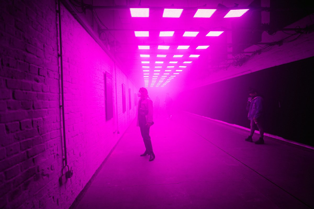 UWesteros's tweet photo. Prototyp of the exhibition back in 2021.
Photos by Carsten Beier

https://t.co/otP5MNgidm

#nft #nftexperiment #tulipmania #svensauer https://t.co/wvyit91rSV