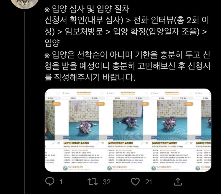 mona5891's tweet photo. 임보처 방문도 신청서 받을 때부터 미리 고지된 절차였는데, 도중에 갑자기 약속 펑크내고 생략까지 얘기하면… 사전 합의된 부분을 한쪽이 임의로 어긴 거잖아 🤔 그래서 파토난 걸 왜 굳이 트위터에 올리며 절차 자체에 문제제기 하는 건지 🤷‍♀️ https://t.co/zunwma0ukk