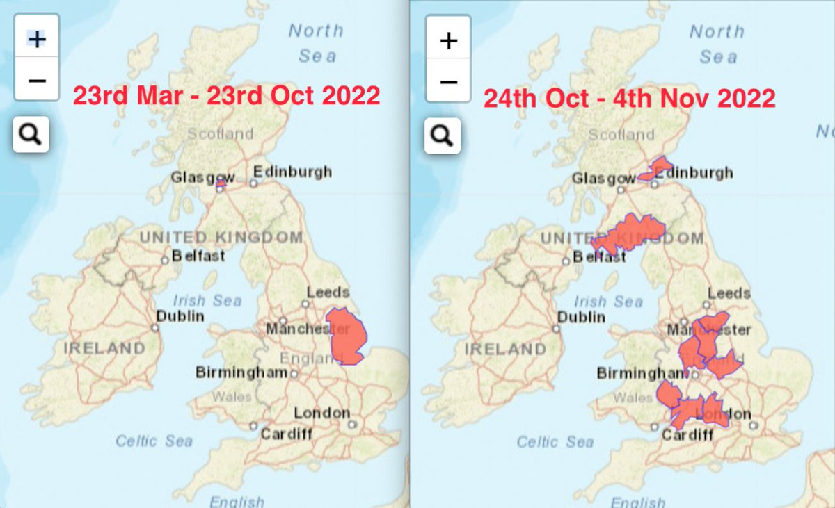 Malcolm Morley tweet media