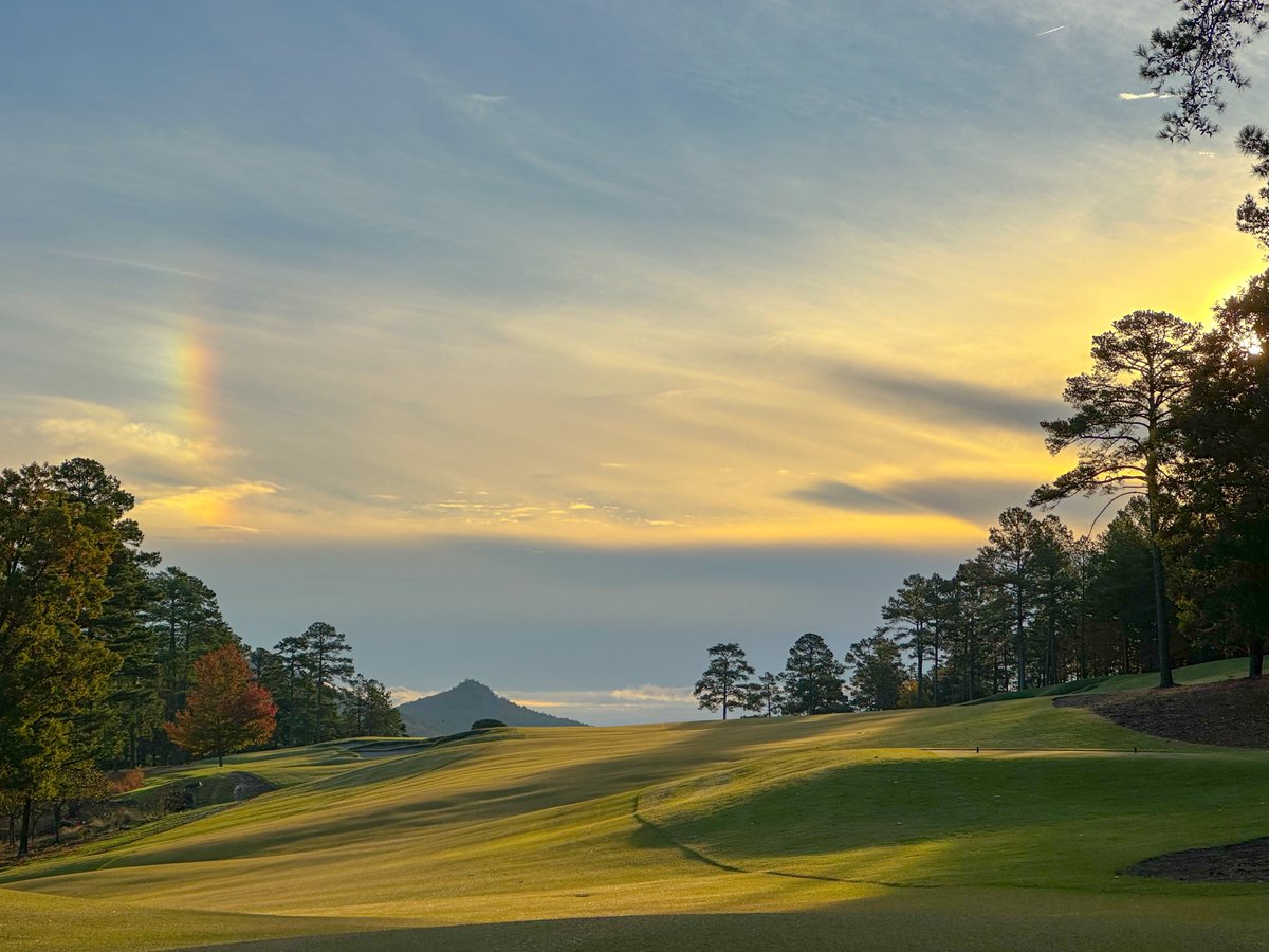 Koji Mitchell tweet media