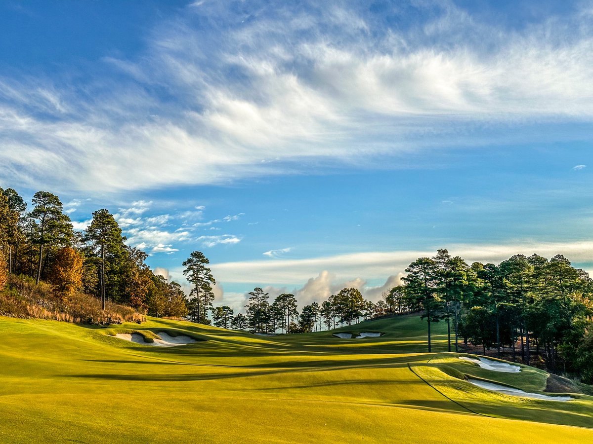 Koji Mitchell tweet media