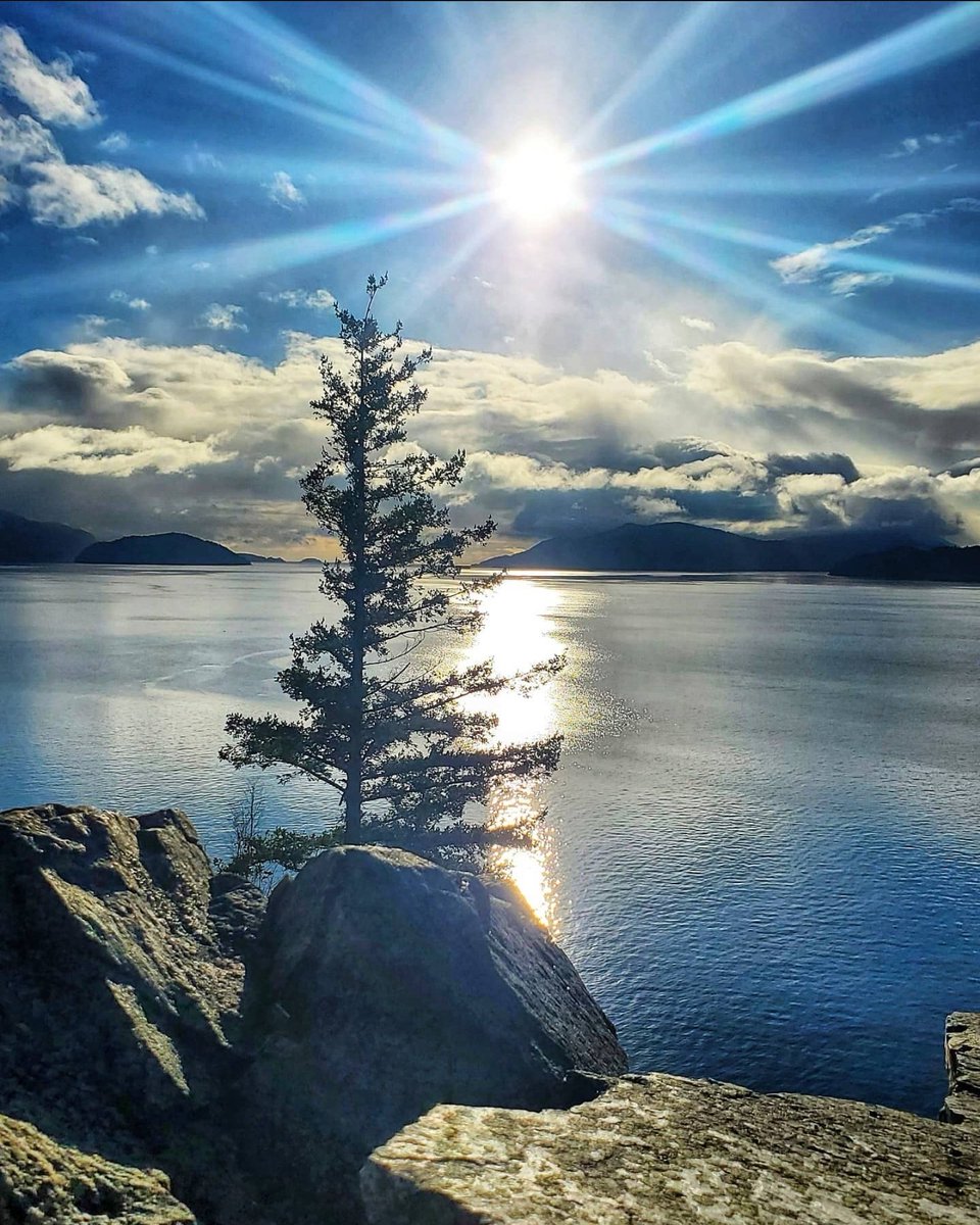 MargeBouvier12's tweet image. Have a beautiful weekend everyone!
@susannahsparrow @PuddinSkippyy @Doug35mmGraves
Photograph by Aquadrienne on instagram.