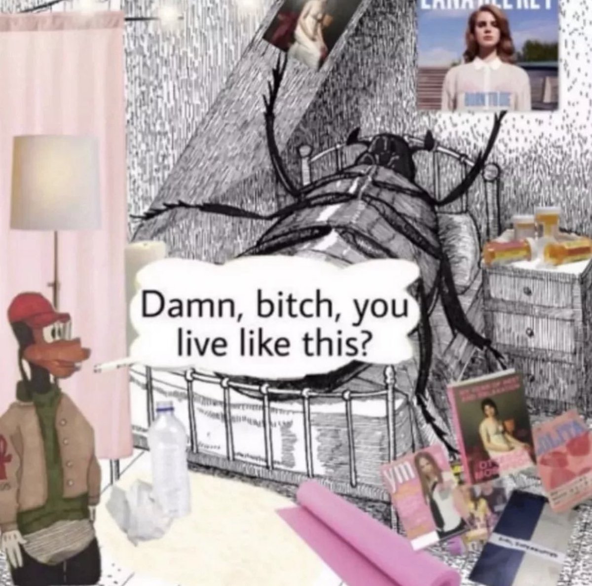 The Notorious J.O.V. (@whotfisjovana) on Twitter photo 