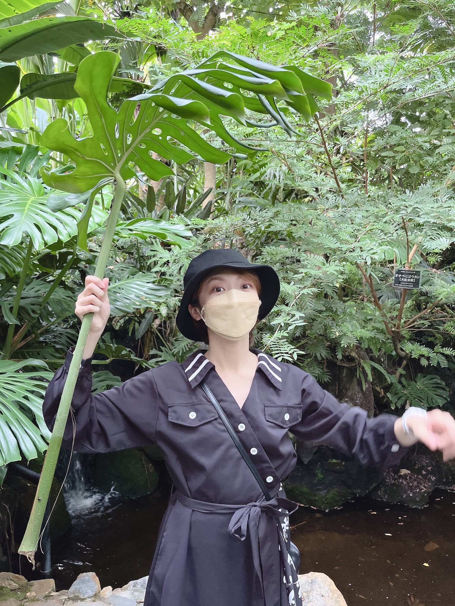 小田 樹(おだみき)🍫☕️ on Twitter 