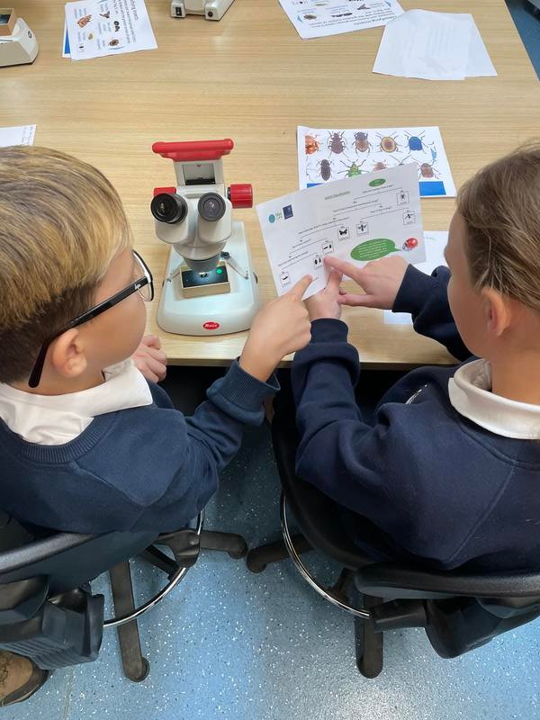 Wytham Genome Project tweet media