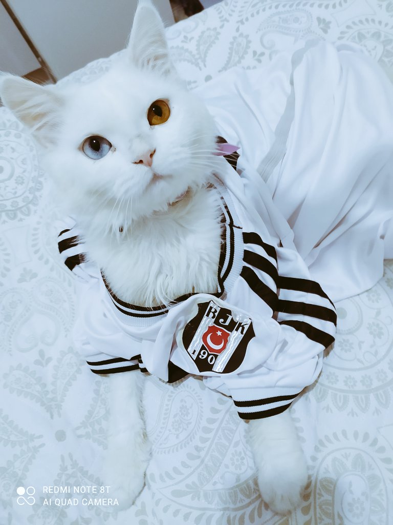 hasretcimsakinn's tweet photo. Biz derbiye hazırız 🖤🤍 #besiktas #besiktasinmacivar https://t.co/mnHlvvCobw